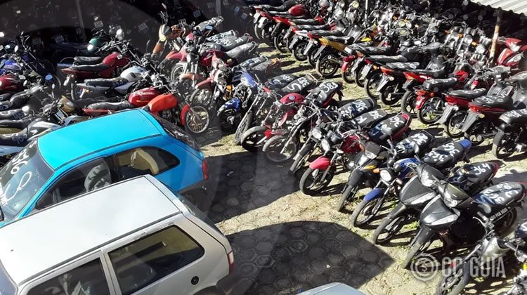 Passo a Passo para Se Preparar para um Leilão de Veículos do Detran