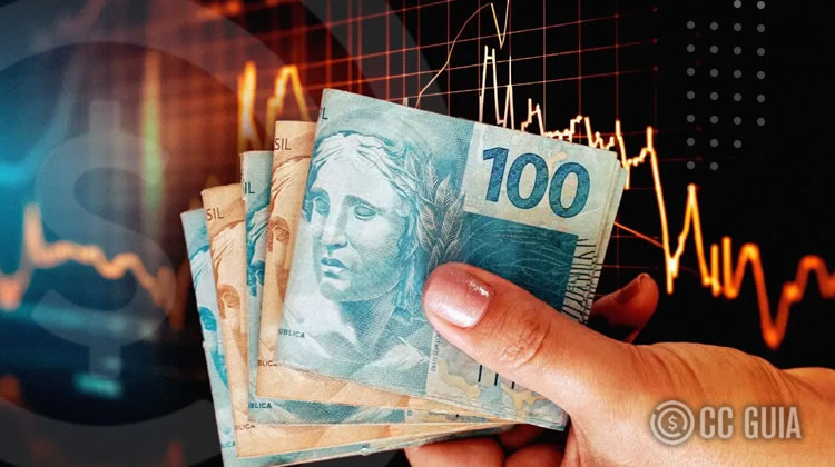 Investimentos em Acoes Riscos e Oportunidades