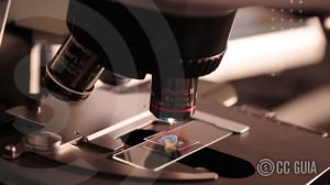 Mistérios da Ciência que Ainda Não Foram Explicados